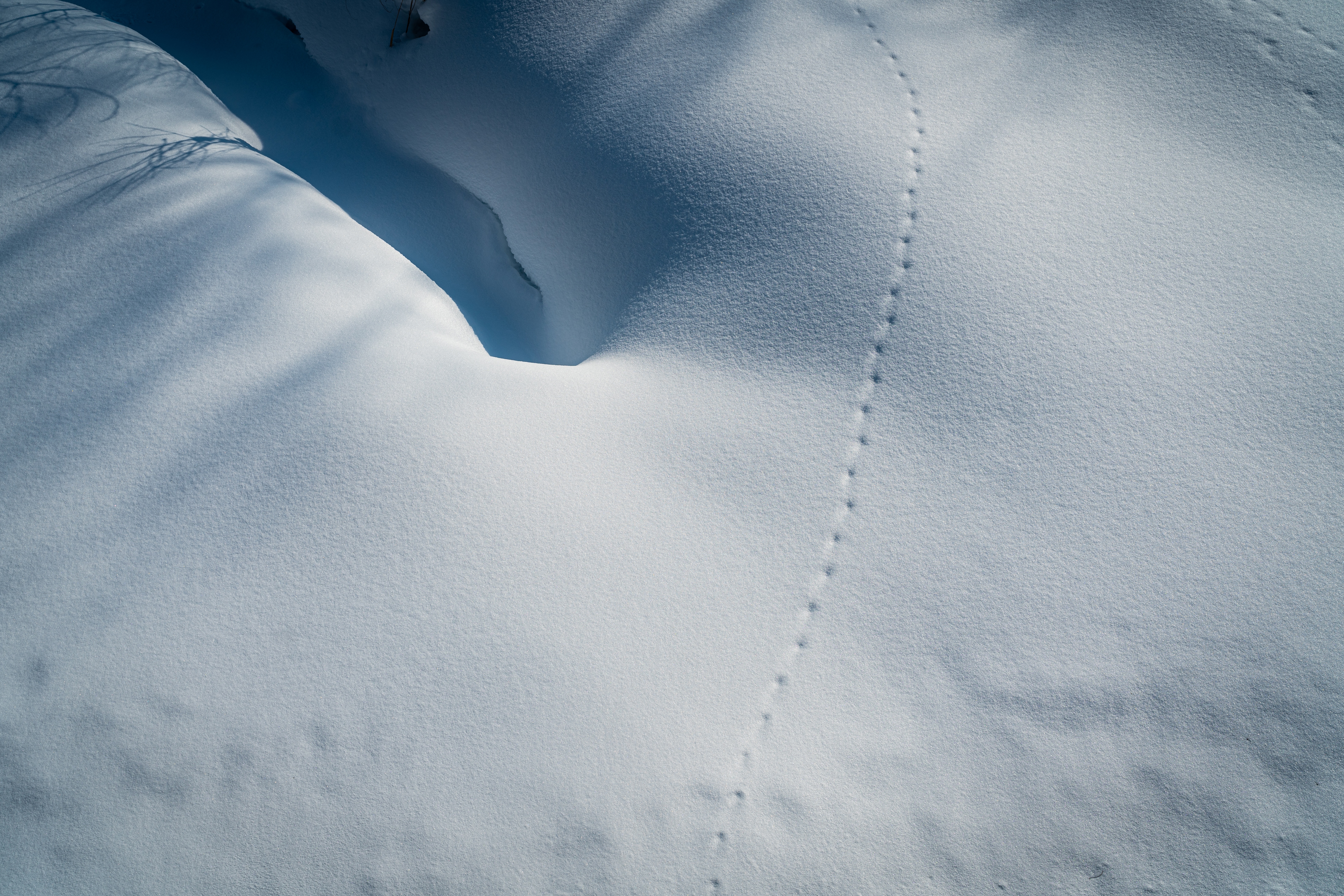 boxmoe_header_banner_img