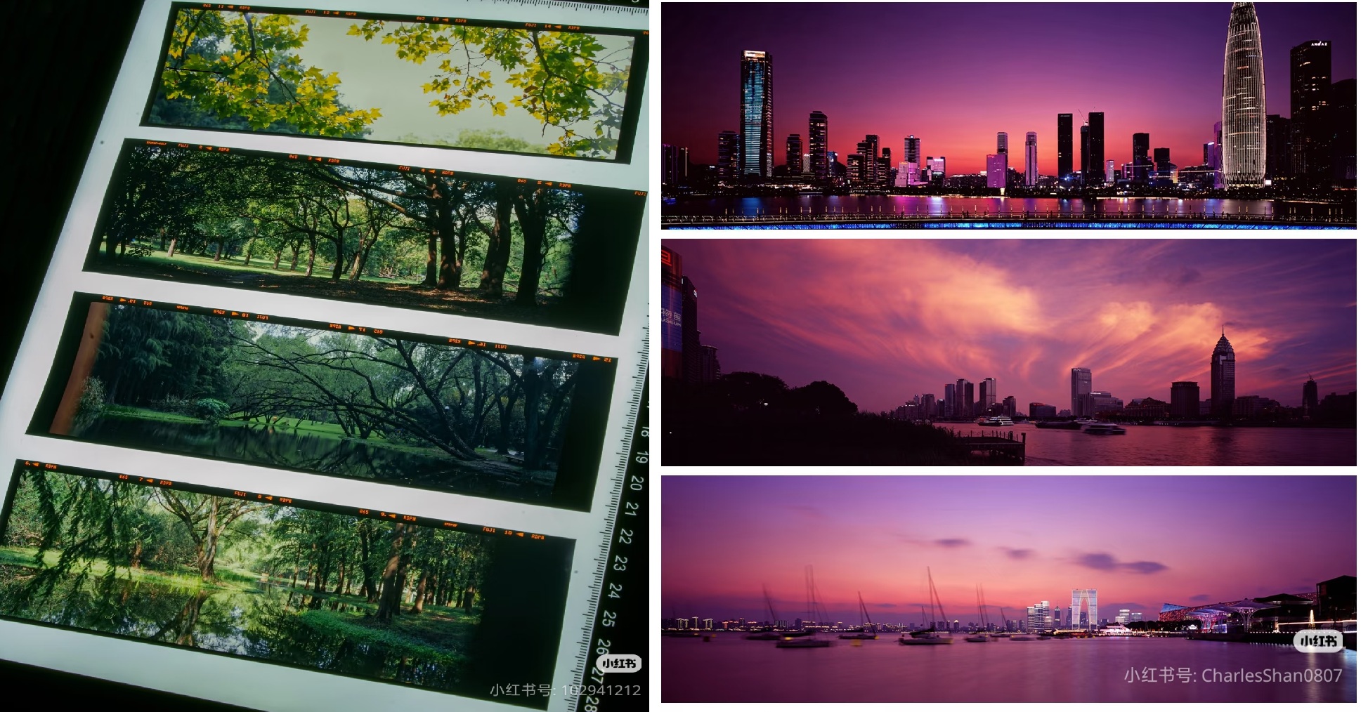 灯箱上的617画幅反转片底片